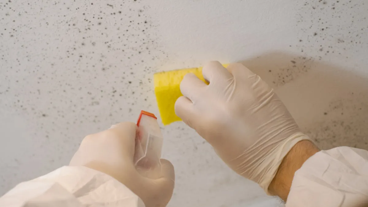 Úklid stěn na toaletě jak dostat pod kontrolu žluté mapy a černou plíseň pomocí týdenní rutiny známé i českým domácnostem