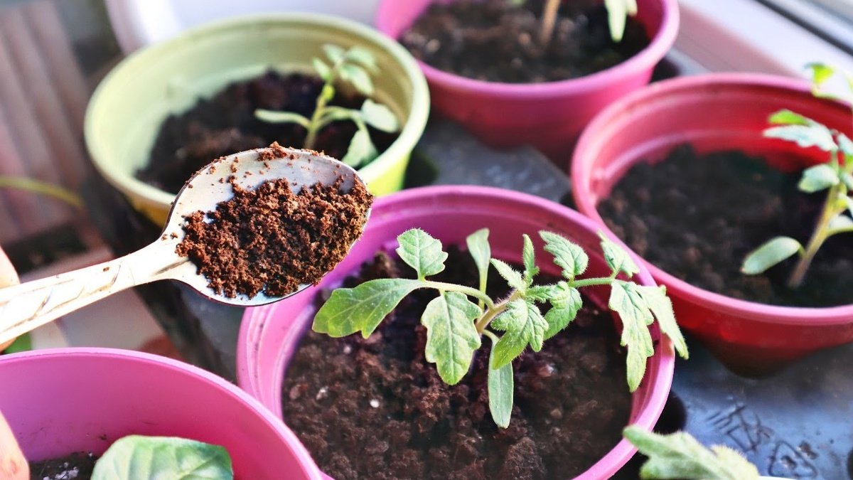 Jen jedna lžíce proč se v českých domácnostech stále častěji sype kávová sedlina do toalety