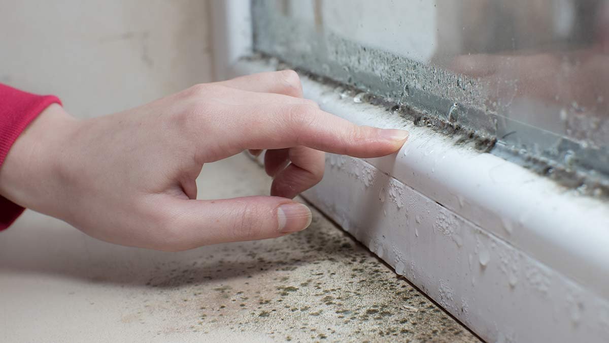 S příchodem chladu se v českých domech objevuje vlhkost několik tipů jak předejít nepříjemným překvapením na stěnách