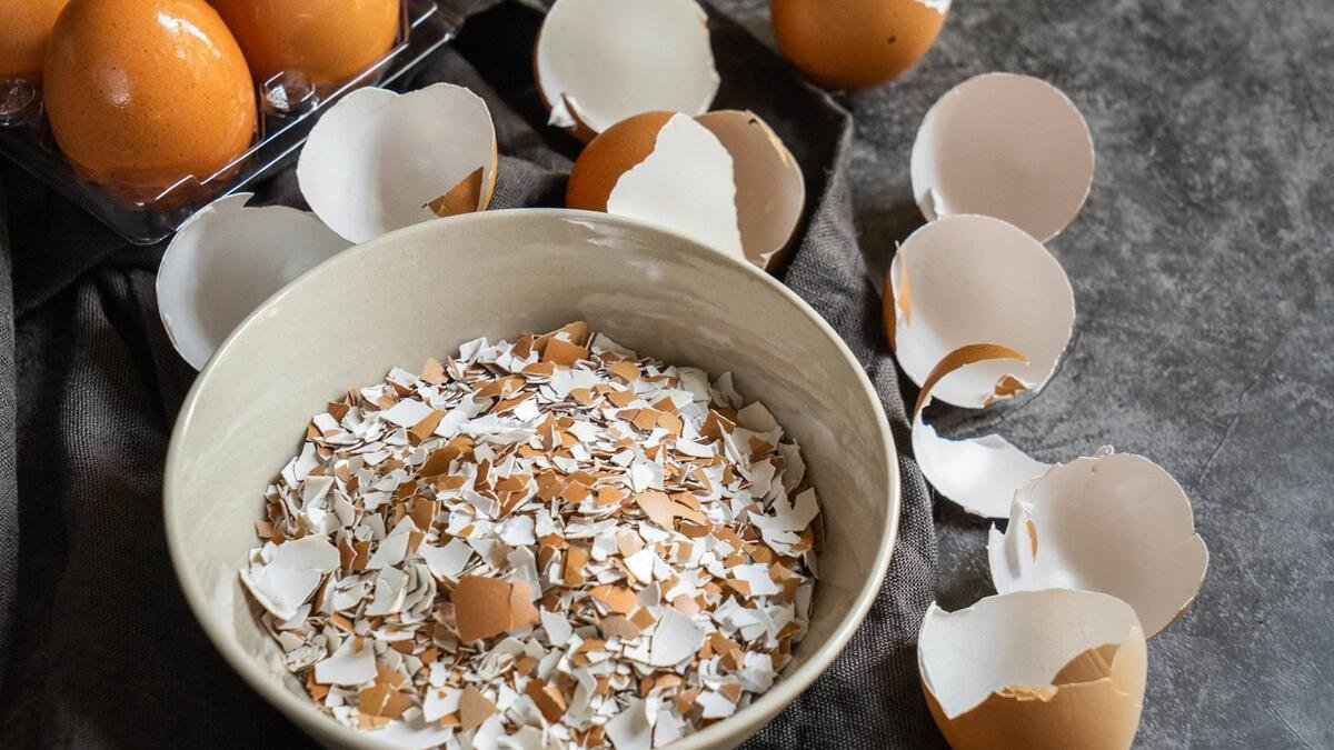 Zkuste skvrny na indukci přetřít tím, co obvykle vyhazujete — v českých domácnostech to používají jako přírodní prostředek, který vrací kuchyni lesk