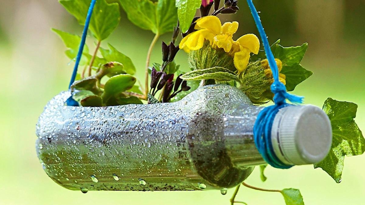 Jak proměnit plastové lahve v pomocníky na zahradě 5 jednoduchých nápadů na využití