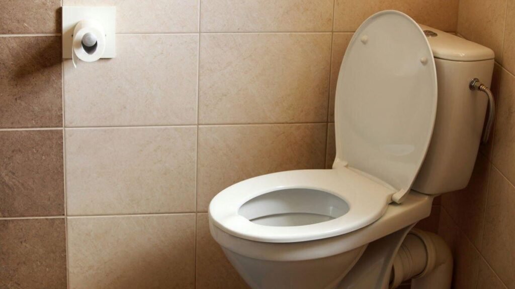 Jeden sáček do toalety a ráno bude bělejší než sníh čtyři nejlepší způsoby podle rad českých řemeslníků