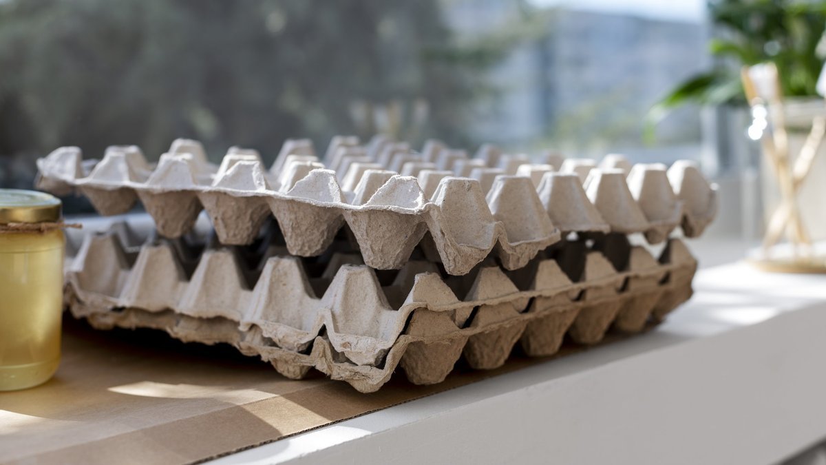 Tuto obal vyhazujete každý týden, přesto má v českých domácnostech už dávno užitečné využití nevyhazujte plata od vajec