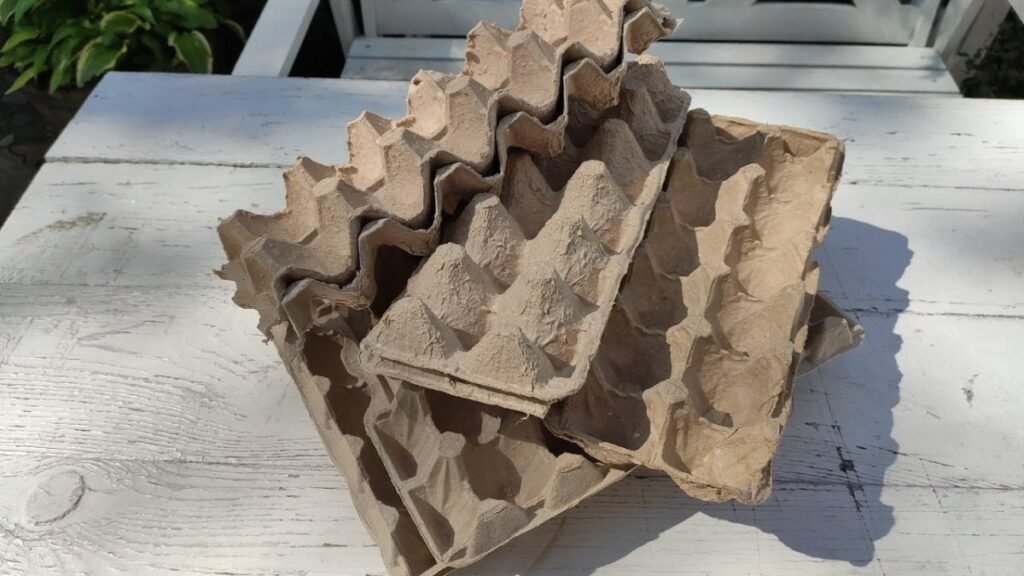 Tuto obal vyhazujete každý týden, přesto má v českých domácnostech už dávno užitečné využití nevyhazujte plata od vajec