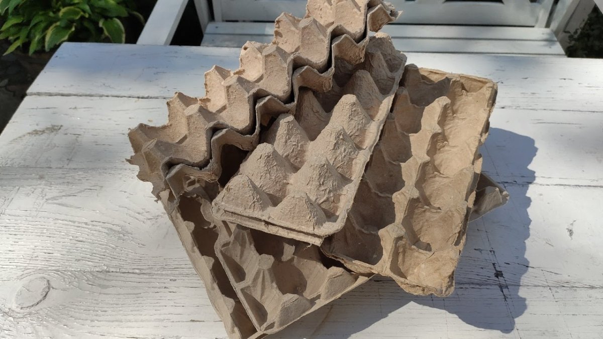 Tuto obal vyhazujete každý týden, přesto má v českých domácnostech už dávno užitečné využití nevyhazujte plata od vajec