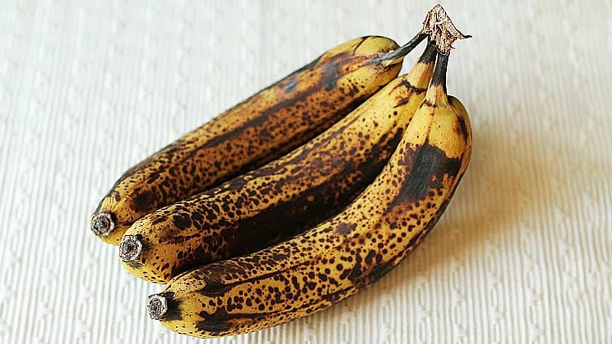 Jen 2 ingredience: sušenky bez mouky, bez cukru a bez výčitek, oblíbená volba i v českých domácnostech