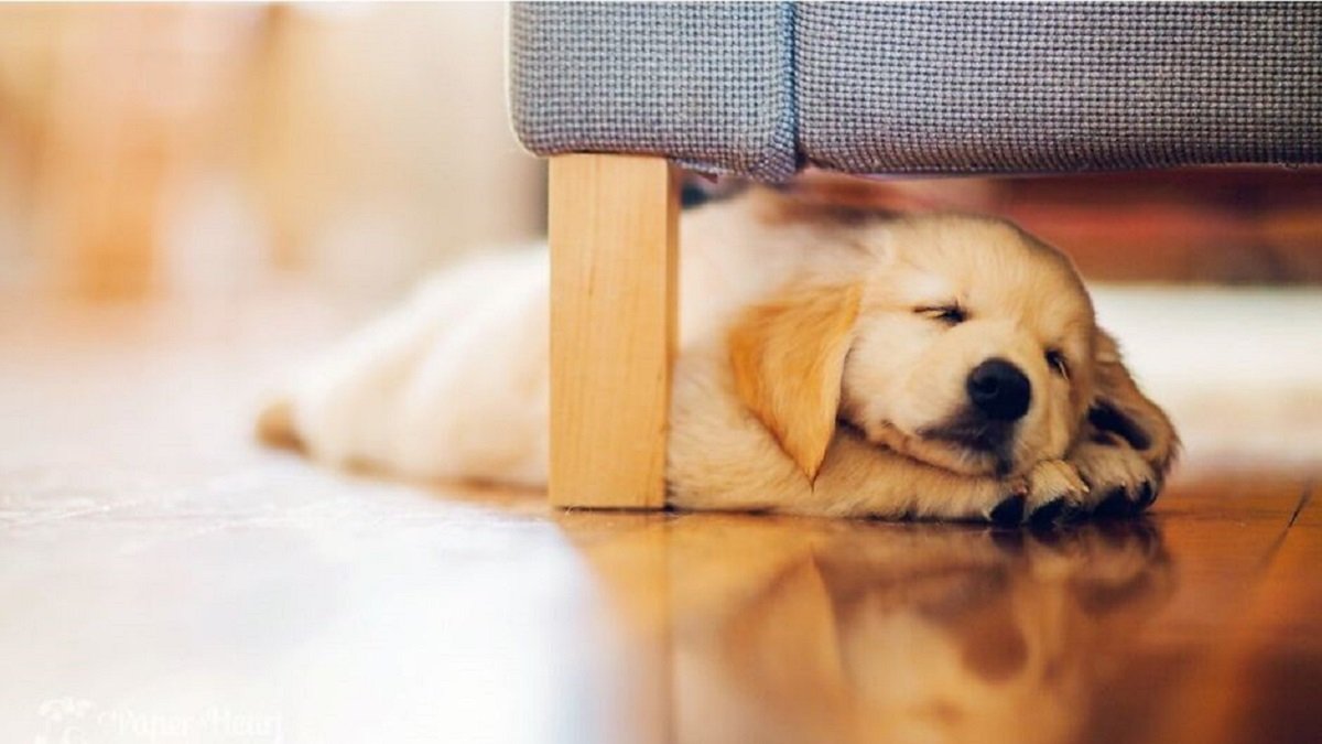 Skandinávská technologie zateplení po česku teplá podlaha bez nepřetržitého topení funguje i při minus 30 °C